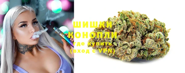 spice Алексеевка