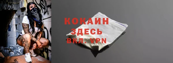 соль ск Переславль-Залесский