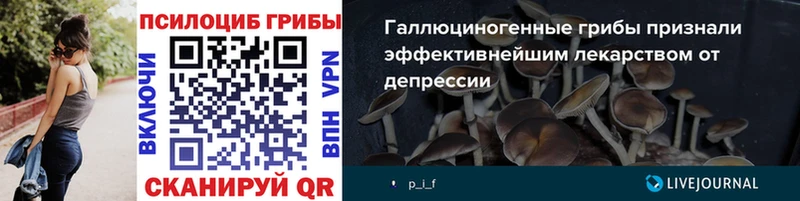 Галлюциногенные грибы GOLDEN TEACHER  дарк нет клад  Лаишево 